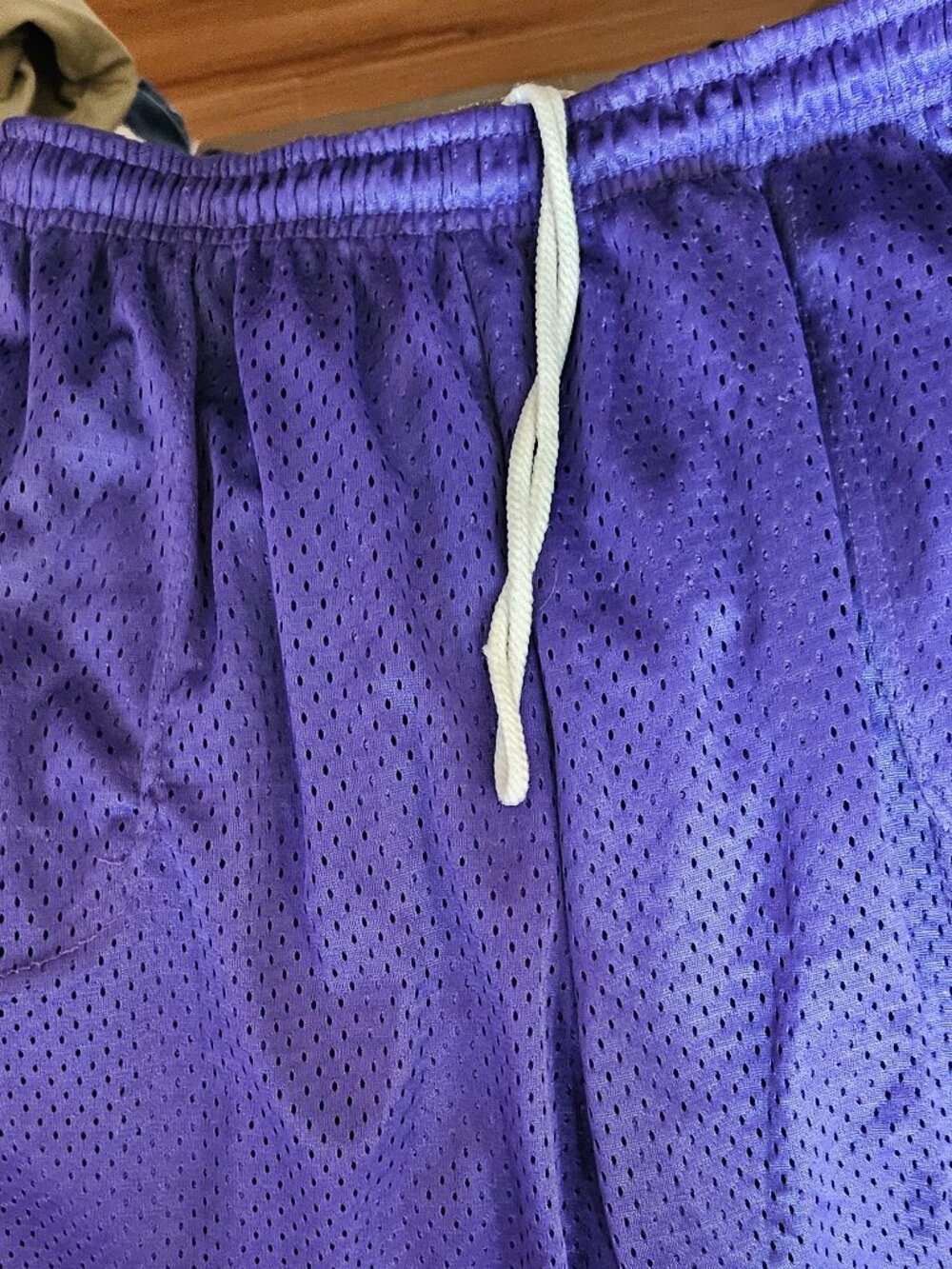 Mens Mesh Hill Purple Athletic Shorts Lg